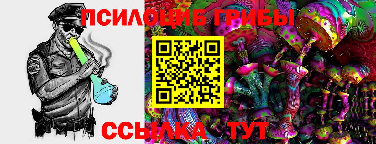 Псилоцибиновые грибы GOLDEN TEACHER  Вход с VPN  купить наркотики цена  Вязьма 